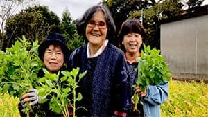 佐賀県隣接の8島　有機JAS認可「オーガニックアイランド」めざし始動　リトコス