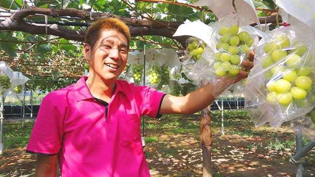 銀座で「オンラインぶどう狩り」イベント開催　茨城県アンテナショップ