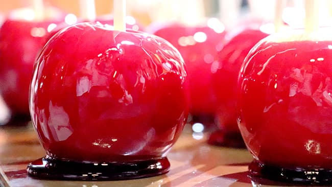 長野県飯山市農園で「りんご飴づくり体験」　日本旅行ファーム