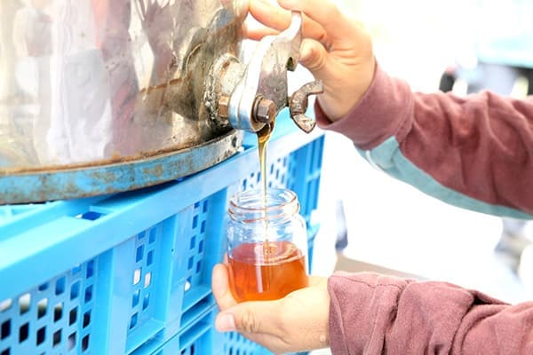 山田みつばち農園グランドオープン　記念イベント開催