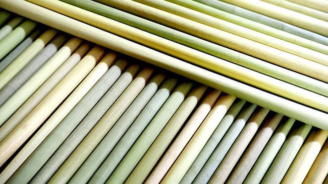 農大生が販売する「草ストロー」導入100店舗突破　HAYAMI