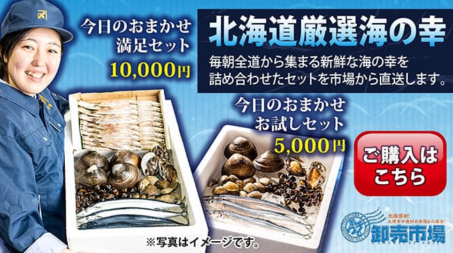 札幌市中央卸売市場を360度ネットで散策　初のオンラインEXPO開催　カネシメ