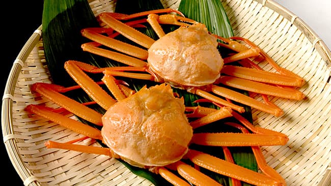 富山湾から東京駅へその日に直送「富山湾 秋の味覚」フェア開催