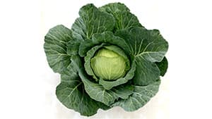 キャベツの新品種「がいな」を発売　来年1月からサカタのタネ