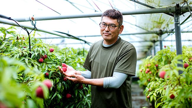 「新富ライチ」がグッドデザイン賞受賞　2021年度収穫分の先行受付開始