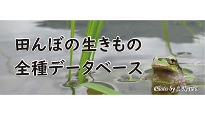 水田と周辺の6305種を掲載「田んぼの生きもの全種データベース」公開　琵琶湖博物館