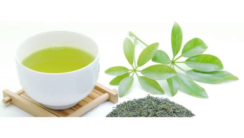 農水省と連携　お茶の健康機能性に関する無料オンラインセミナー開催