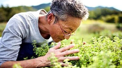 大地にやさしい農家を応援「先駆者の言葉」にハーブ栽培の第一人者が登場