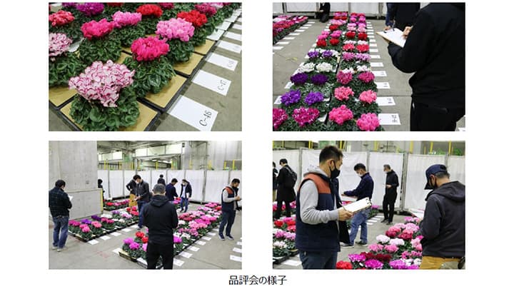 農水大臣賞など決定「第20回東京砧花き全国品評会」開催