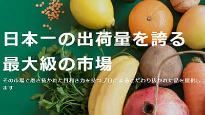 「おせち・お正月特集」で築地・大田市場の厳選品を提供　大田市場直送.com