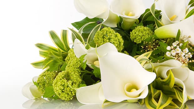 東京砧花き園芸市場を子会社化、花き流通額100億円超へ　オークネット