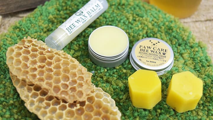 横浜・山手の公園産はちみつ飴など清瀬市役所で特別販売　西武造園