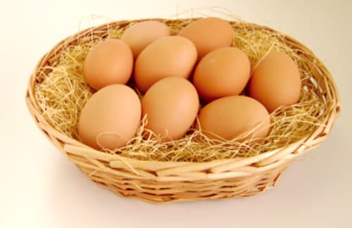 大麦ぬか入り飼料　宇都宮大学と共同研究 「大麦卵」発売　おおむぎ工房