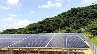日本初　沖縄のカカオ栽培とソーラーシェアリング　GPSSグループ