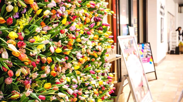 「にいがたフラワーバレンタイン2021」市内3か所で開催　新潟市