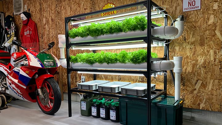 お部屋で農業　空きスペースで野菜栽培　植物プラント発売　グローイング