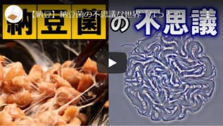 納豆ムービー「なっとういのちの力」英訳で海外展開サポート　アメリカ大豆輸出協会
