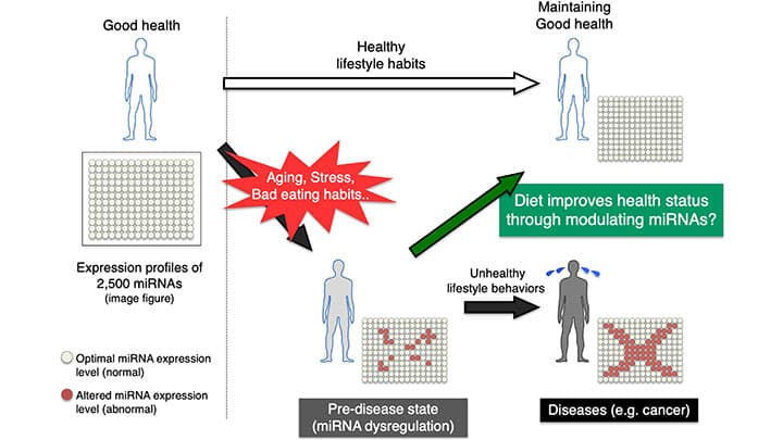 食によるアプローチでがん予防を追求　論文が国際学術誌に掲載　キユーピー