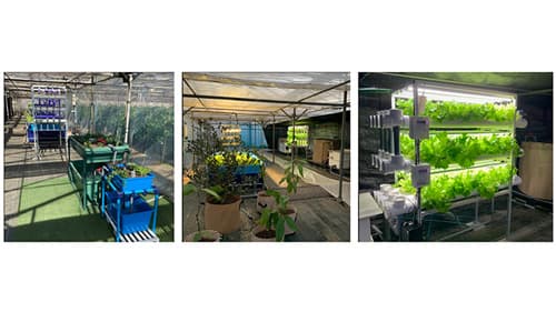 アクアポニックス試験農場「湘南アクポニ農場」神奈川県藤沢市に開設