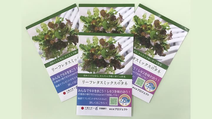 おうち時間に園芸体験を　レタスの種を千葉市動物公園で配布　千葉大学