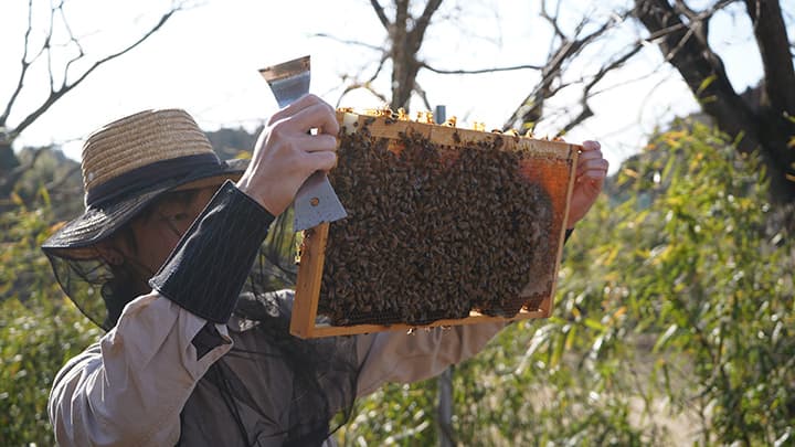 千葉・市原の里山再生を認知「ちば食べる通信」初のイベント出展