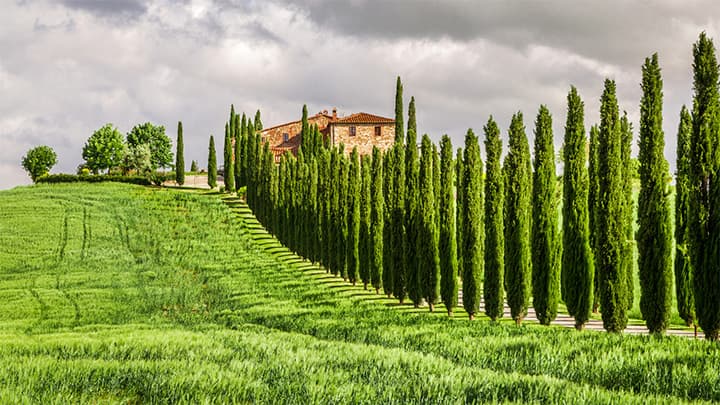 アグリツーリズム市場　2027年までに年平均13.4％で成長を予想