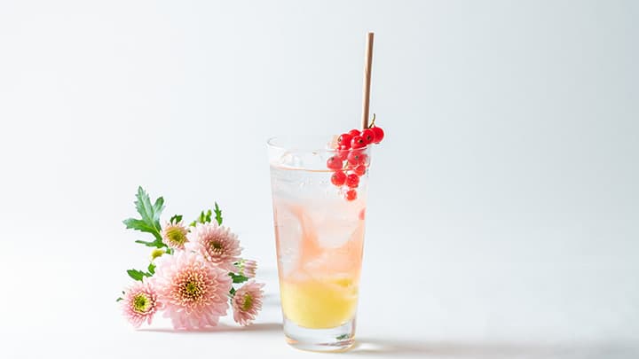 循環型食品リサイクル　三浦産春キャベツの「モクテル」登場　横浜ベイシェラトン