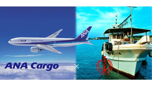 商流拡大と生鮮品の当日配送へ　ANA Cargoとサードコンパスが業務提携