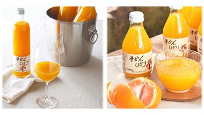 和歌山産みかんジュース「みかんしぼり」価格引き下げ　伊藤農園
