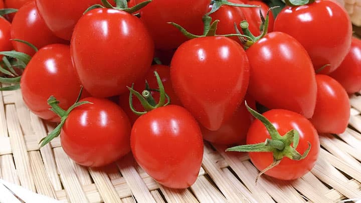 生産者の人生を変えた「トマトベリー」を特集　ちば食べる通信4月号