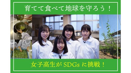 舘林のゴーヤ活用　グリーンカーテンとレシピコンテスト開催決定