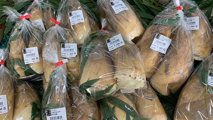 タケノコシーズン到来　4月下旬頃まで朝掘りが入荷中　旬の駅京都店