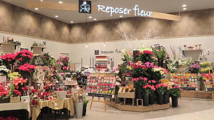 そのまま栽培できるトマトなど「春のガーデニングフェア」本格展開　イオン