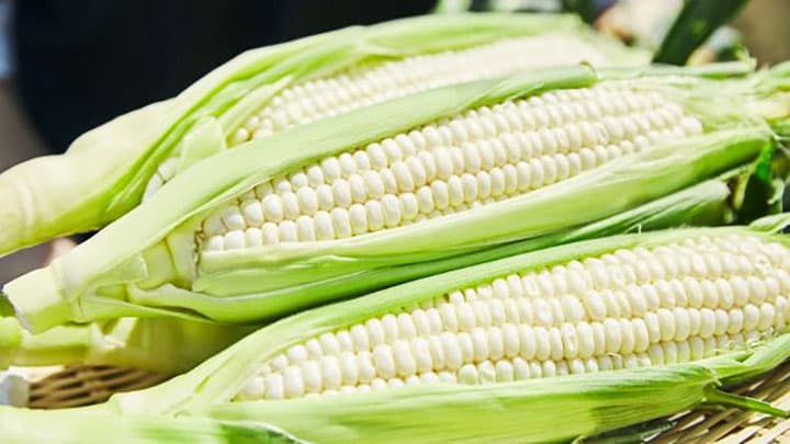 「京都舞コーンプレミアム」を新発売