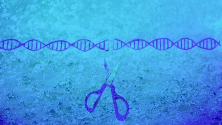 CRISPR遺伝子編集市場　2030年に108億2510万米ドル到達の見込み