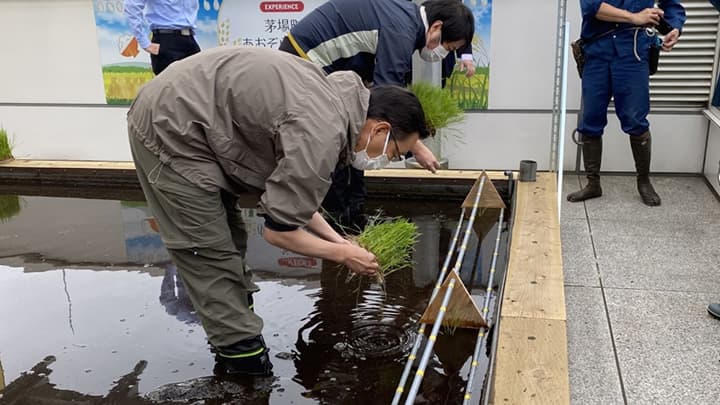都心の屋上で田植え体験「茅場町あおぞら田んぼプロジェクト」実施　プレナス