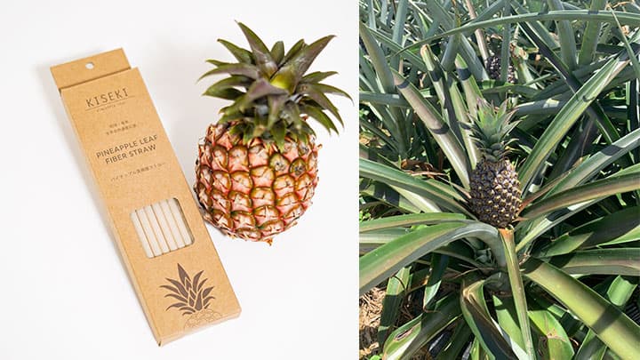 収穫後の葉を利用「パイナップル葉繊維ストロー」発売　フードリボン