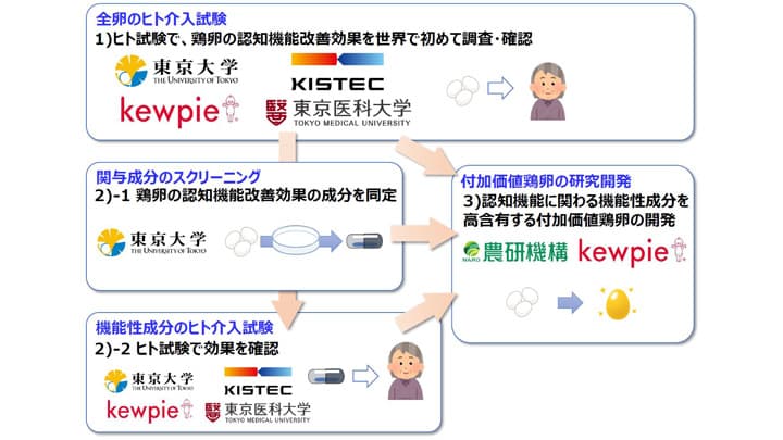 鶏卵の摂取で「認知機能改善効果」を解明　研究推進事業に採択　キユーピー