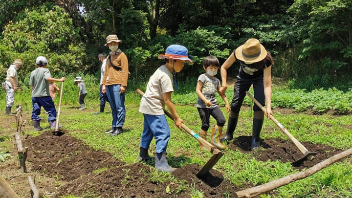 種芋を植えてから食べるまで　家族向けじゃがいもイベント開催中　ニュー農マル