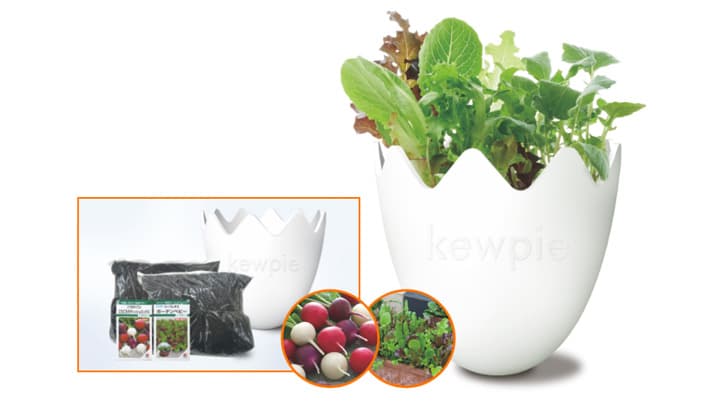 「収穫体験キット＆オリジナルレシピブック」プレゼント　キユーピー