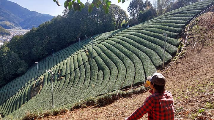 持続可能な茶生産へCF挑戦　足久保ティーワークス茶農業協同組合