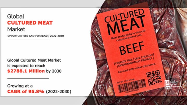培養肉の市場規模　2030年に2億7810万米ドル到達の見込み