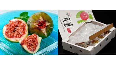 輸送困難の完熟イチジク「蓬莱柿」EC通販を実現　うまいもんドットコム