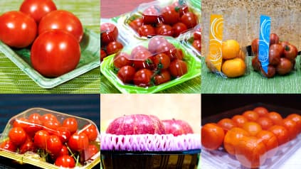 「第1回エフピコチューパ農産本部フォトコンテスト」開催