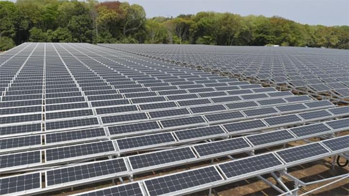 太陽光発電でブルーベリー栽培　所沢市へ電力供給　HGE×西武アグリ