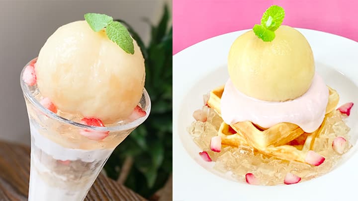 岡山・農園カフェ湯郷で数量限定「まるごと白桃スイーツ」発売　美作農園
