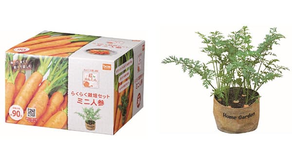 「DCM超かんたんらくらく栽培セット」人気の栽培セットに新品種登場