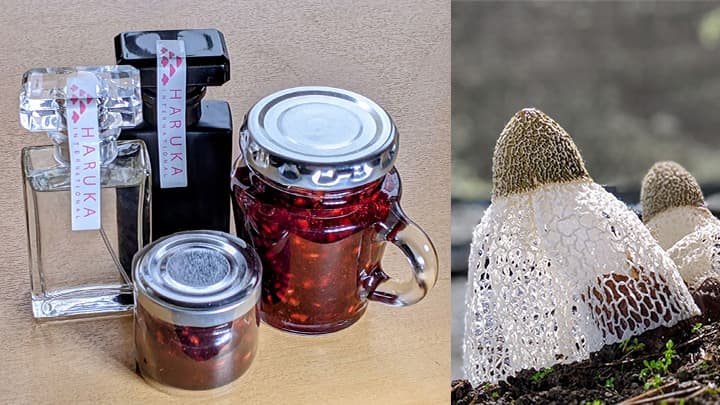 キノコの女王「キヌガサタケ」のフレーバー商品販売開始　ハルカ社