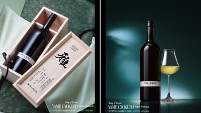 1本30万円の「八女伝統本玉露」先着10本で受注開始　ブルーティージャパン