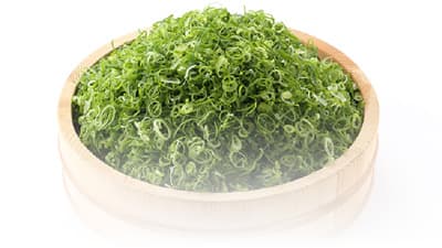 廃棄ネギからバイオマスプラスチック開発　岡山薬品工業